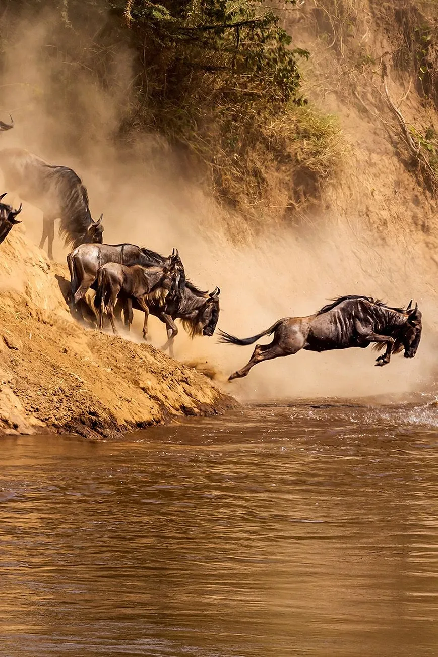 Best Month to see The Great Migration in Kenya and Tanzania